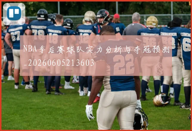 NBA季后赛球队实力分析与夺冠预测_20260605213603