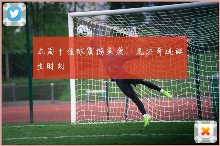 本周十佳球震撼来袭！见证奇迹诞生时刻