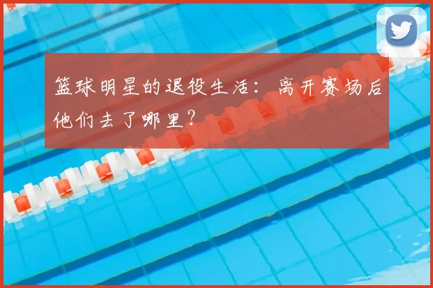 篮球明星的退役生活：离开赛场后他们去了哪里？