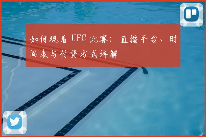 如何观看 UFC 比赛：直播平台、时间表与付费方式详解
